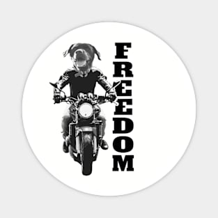 Freedom Dog on Motorcycle Magnet